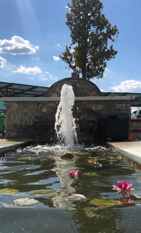 Podere Il Sasso Barberino di Mugello Bagian luar foto