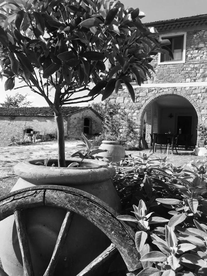 Podere Il Sasso Barberino di Mugello Bagian luar foto