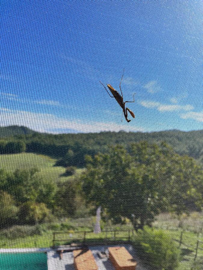 Podere Il Sasso Barberino di Mugello Bagian luar foto