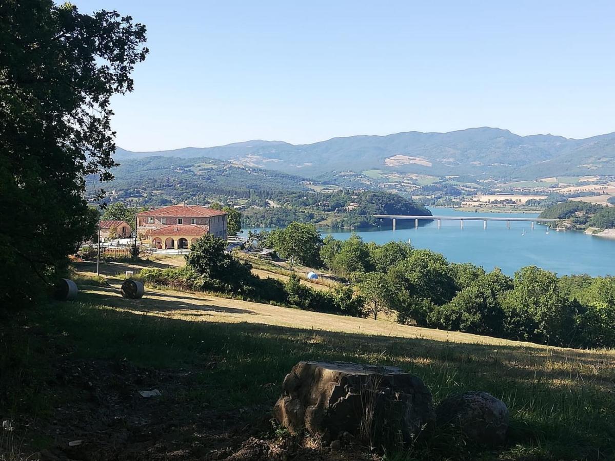 Podere Il Sasso Barberino di Mugello Bagian luar foto