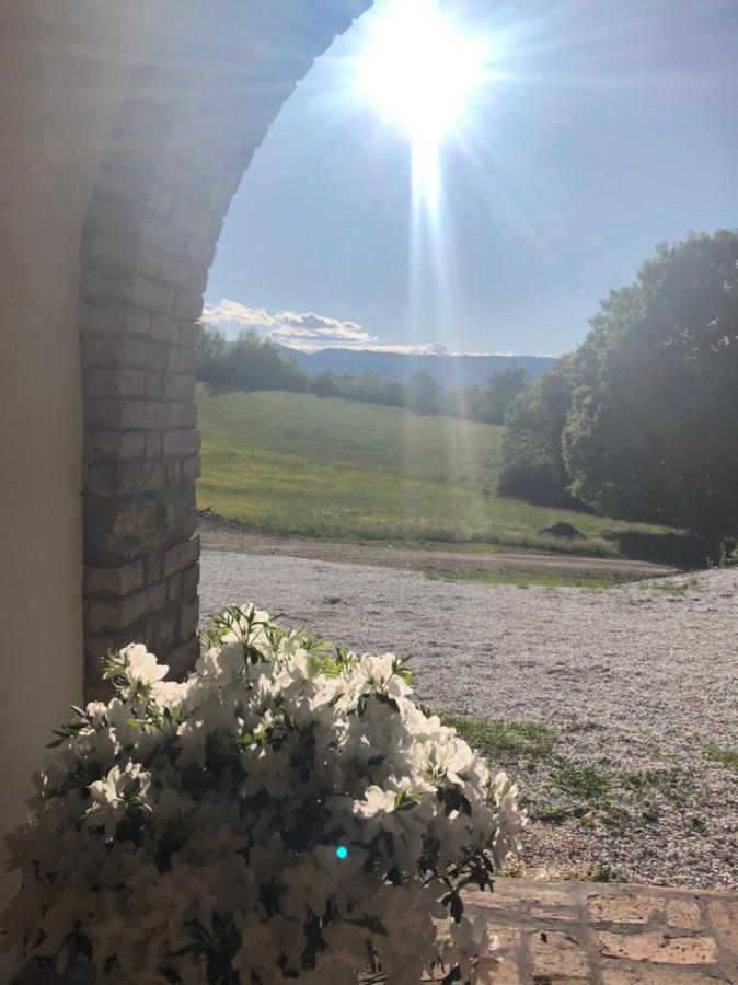 Podere Il Sasso Barberino di Mugello Bagian luar foto