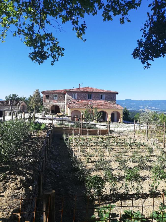 Podere Il Sasso Barberino di Mugello Bagian luar foto