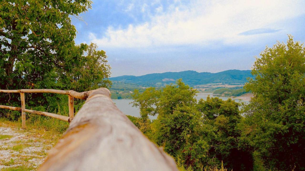 Podere Il Sasso Barberino di Mugello Bagian luar foto